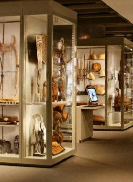 Anthropological Museum