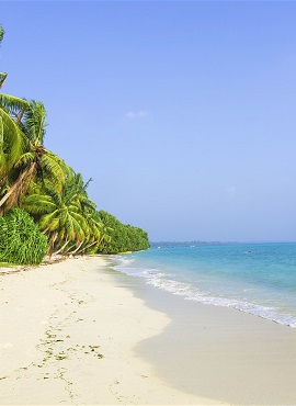 Havelock Island